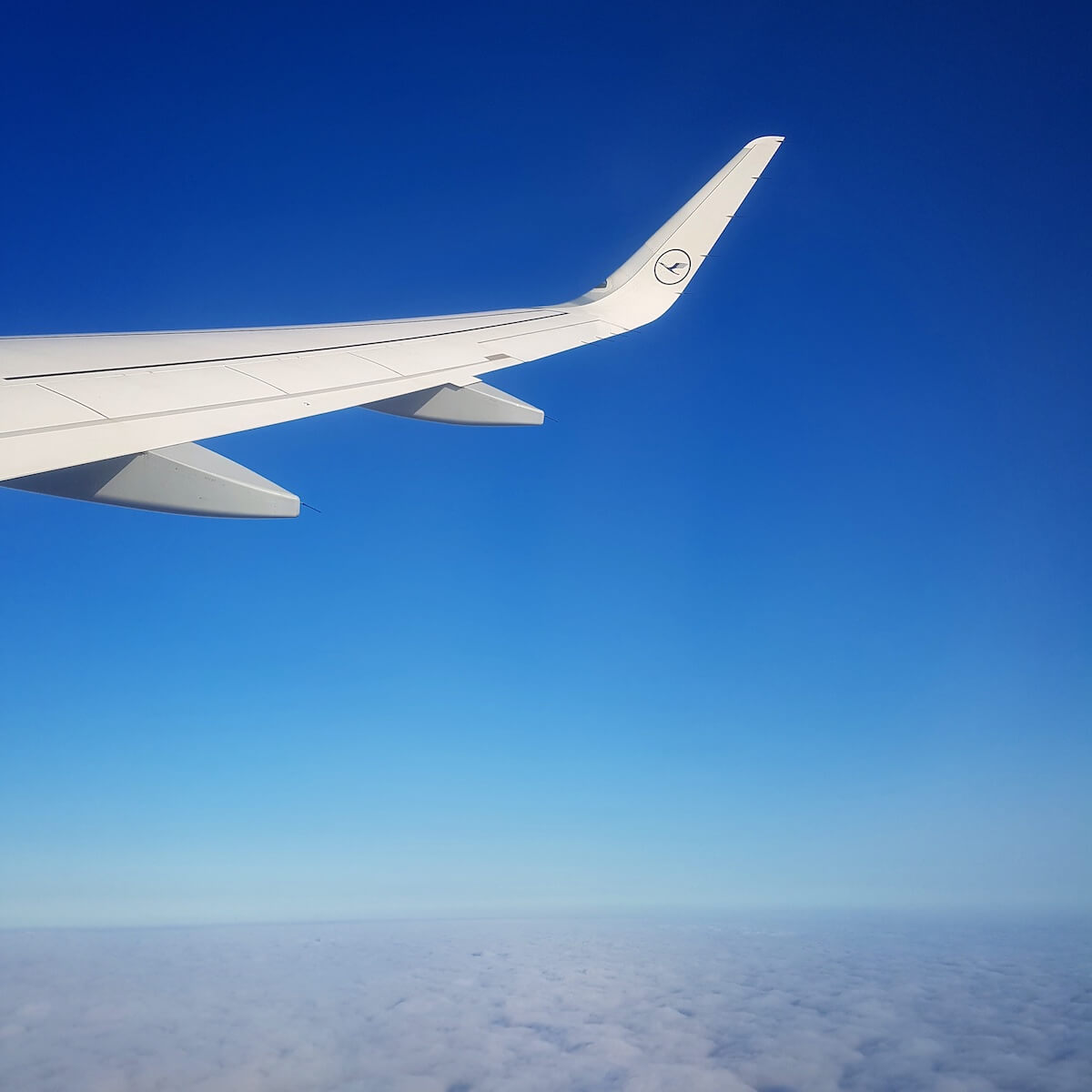Vedere dintr-un avion Lufthansa pe un cer albastru. Urmărirea zborului ajută familia de la sol să își urmărească propria călătorie. 
